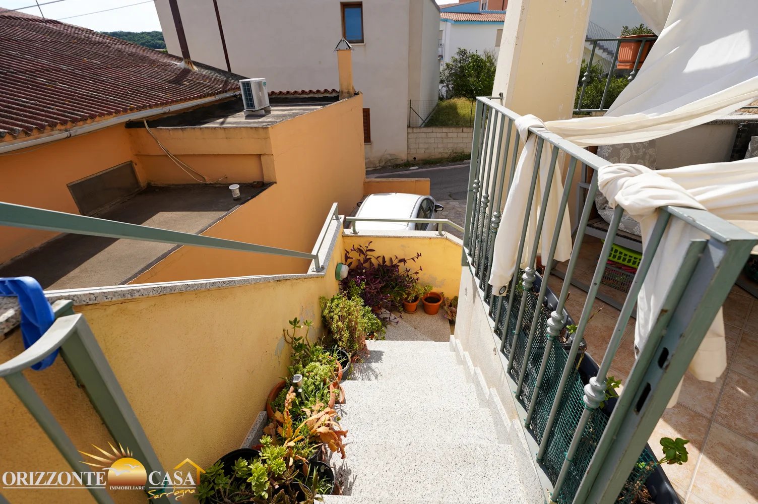 Immagine 3